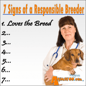A responsible breeder begins by loving the breed. 
