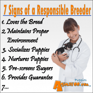 7 Signs of a Responsible Breeder