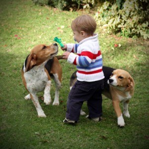 Dog playing with children safely supervised